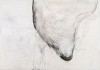 15 - Elisabeth Howey, Growth III, Kohle und Acryl auf grundiertem MDF, 100 x 150 cm, 2013 